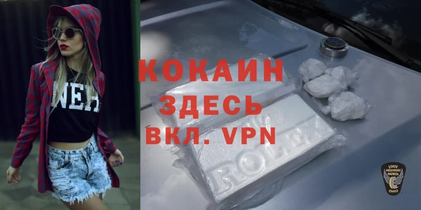ALPHA PVP Каменка
