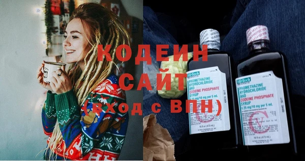крисы Иннополис