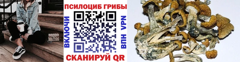 Купить закладки  Коркино  Псилоцибиновые грибы ЛСД 